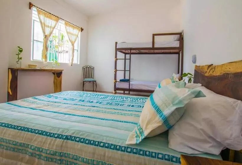 Hotelli Casa Pancho Playa