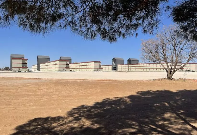 ホテル The Armadillo