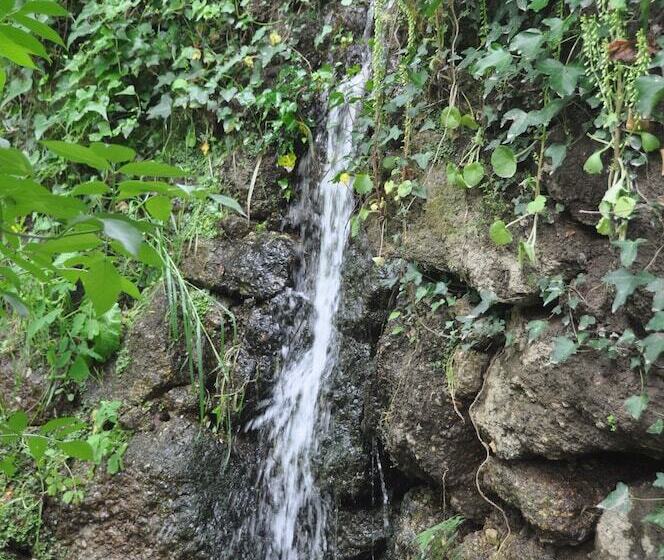 Pensione Room In B&b Paradise Is Real At Vale Martinho Zen