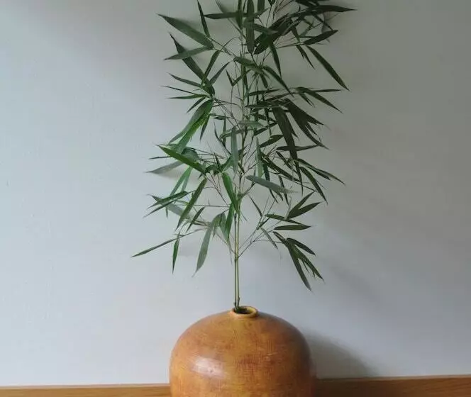 ペンション Room In B&b   Paradise Is Real At Vale Martinho Zen