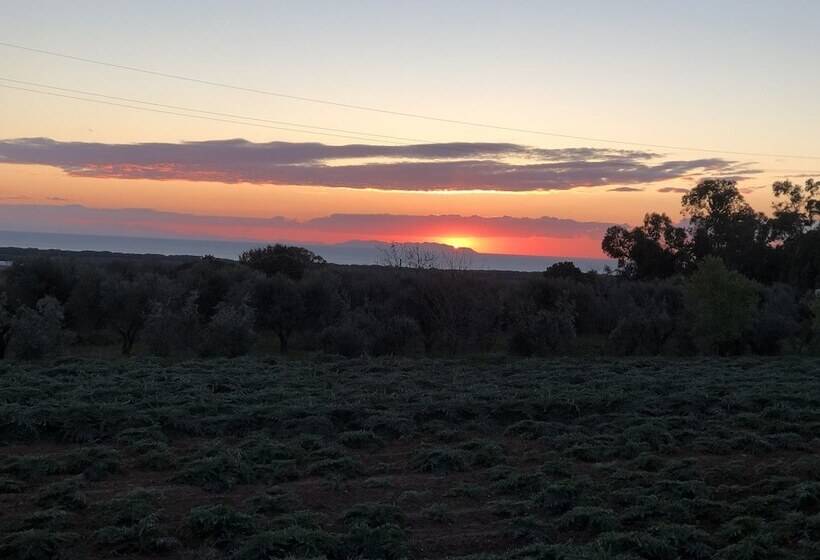 酒店 On Holiday Between Sky And Sea Geco Di Campiglia Pet Friendly Big Garden