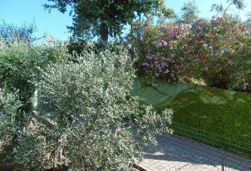 ホテル On Holiday Between Sky And Sea Geco Di Campiglia Pet Friendly Big Garden