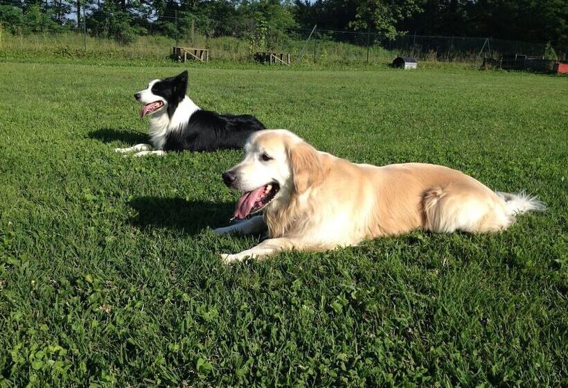 酒店 On Holiday Between Sky And Sea Geco Di Campiglia Pet Friendly Big Garden