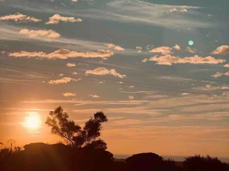 ホテル On Holiday Between Sky And Sea Geco Di Campiglia Pet Friendly Big Garden