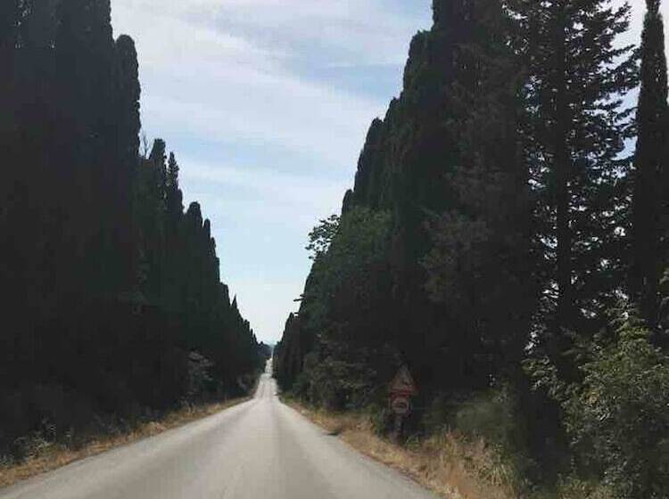 酒店 On Holiday Between Sky And Sea Geco Di Campiglia Pet Friendly Big Garden