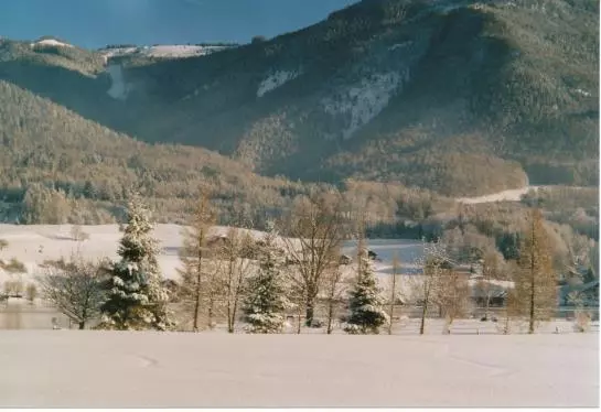 Bauernhof Plombergbauer