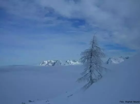 ホテル Der Schlösslhof