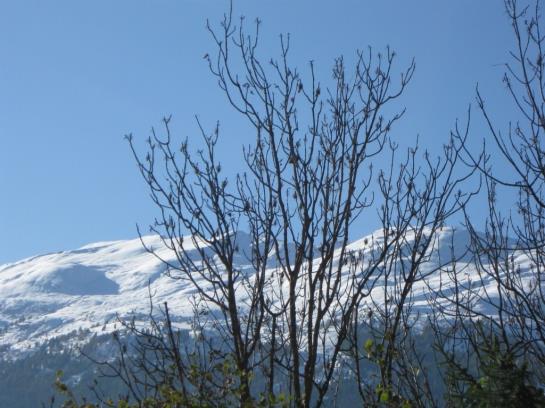 فندق Gschlössle