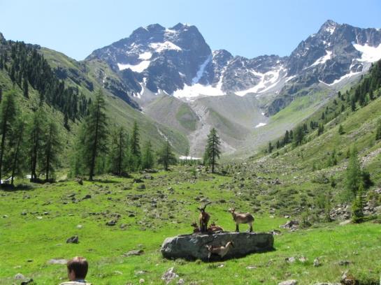 فندق Gschlössle