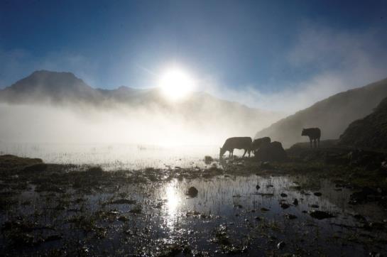 فندق Gschlössle