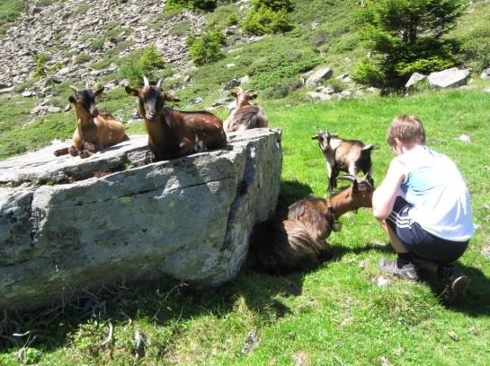 فندق Gschlössle