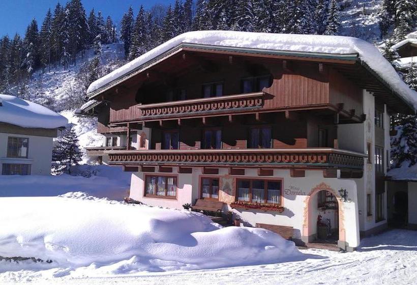 فندق Haus Daniela