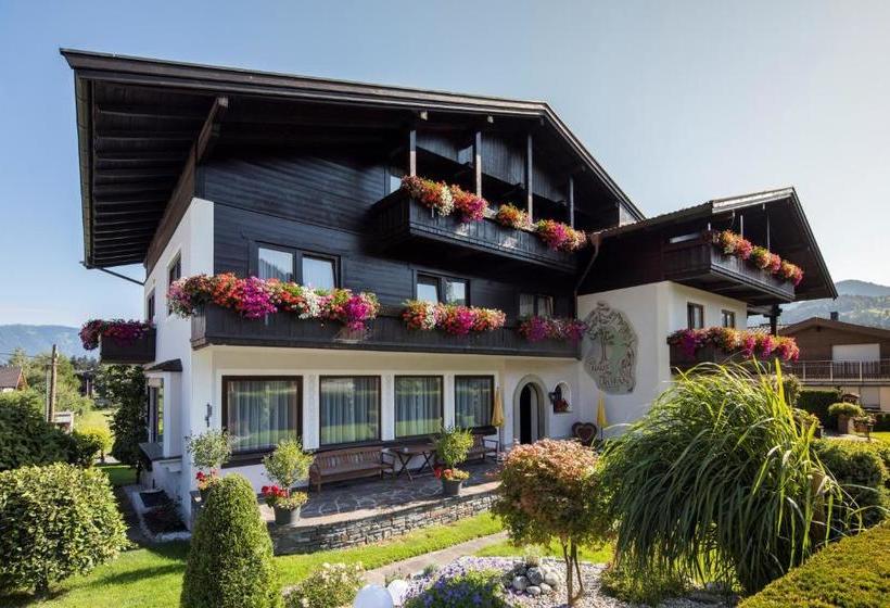 酒店 Pension Rofan