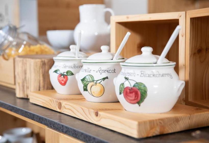 酒店 Pension Rofan