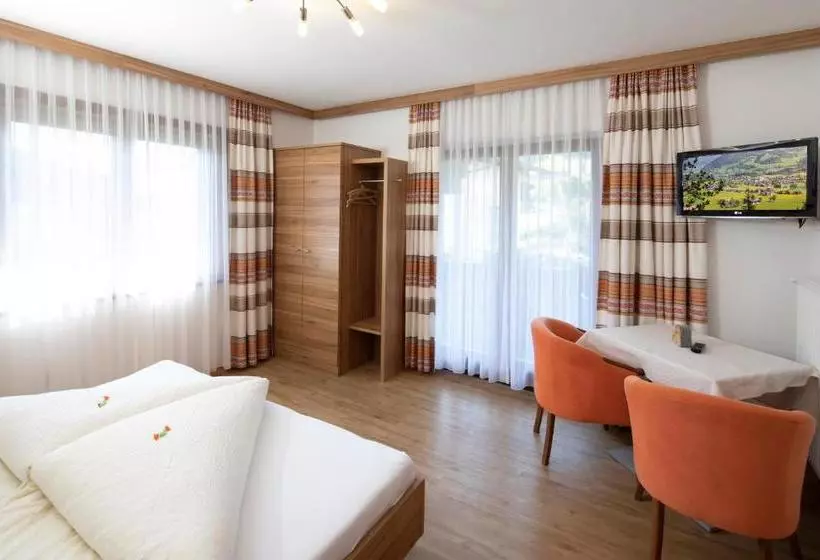 Отель Pension Rofan