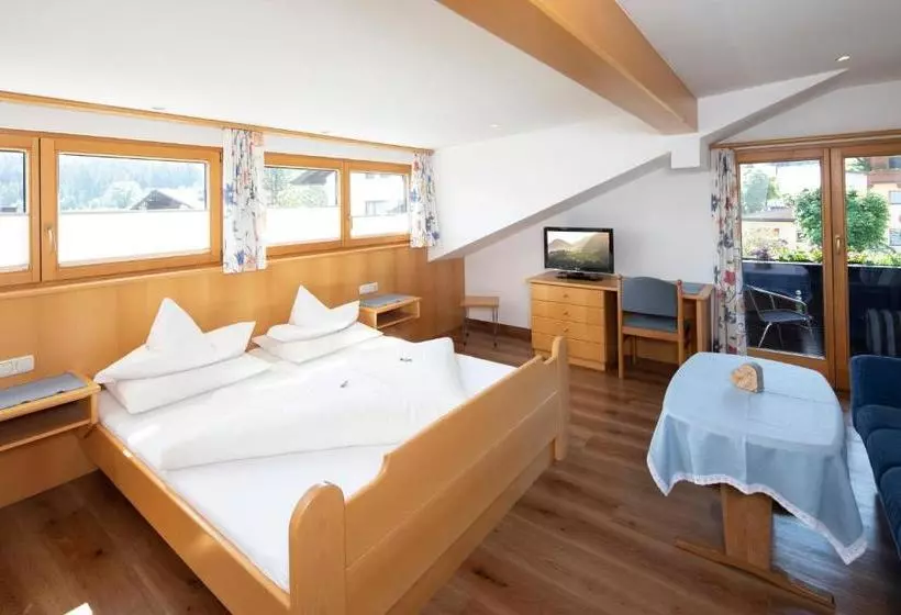 Отель Pension Rofan