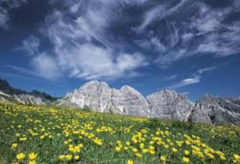 בית מלון כפרי Hoferwirt