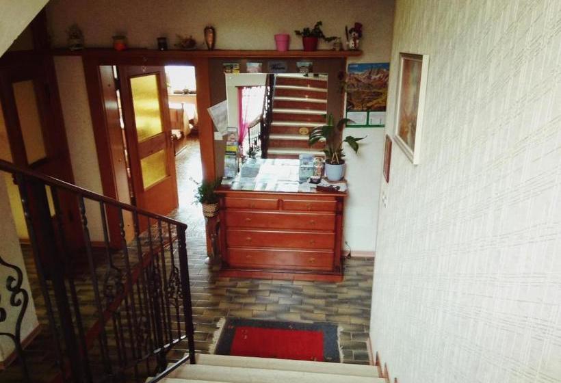 فندق Pension Concordia