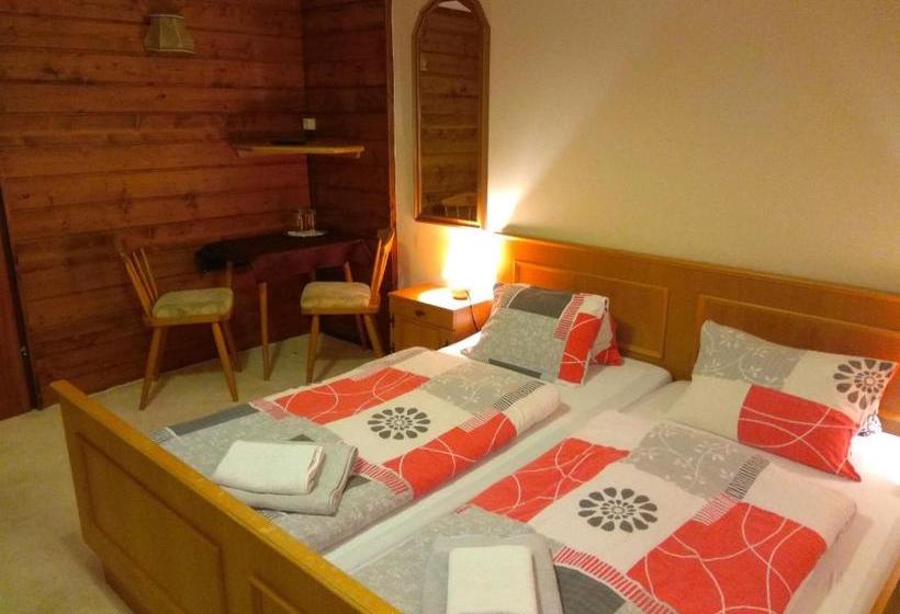 فندق Pension Concordia