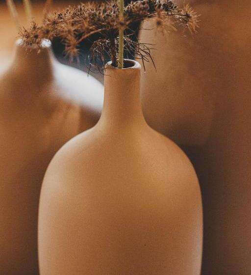 בית מלון כפרי Schönherr Haus