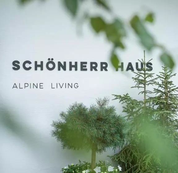 Отель Schönherr Haus