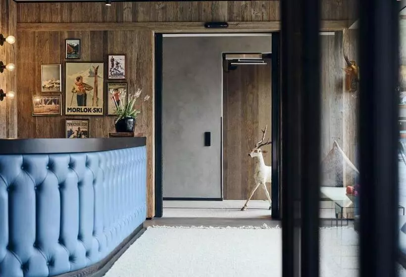 Отель Schönherr Haus