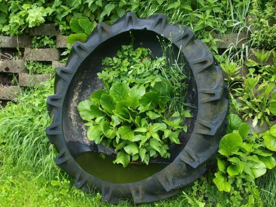 Отель Windhager Kores