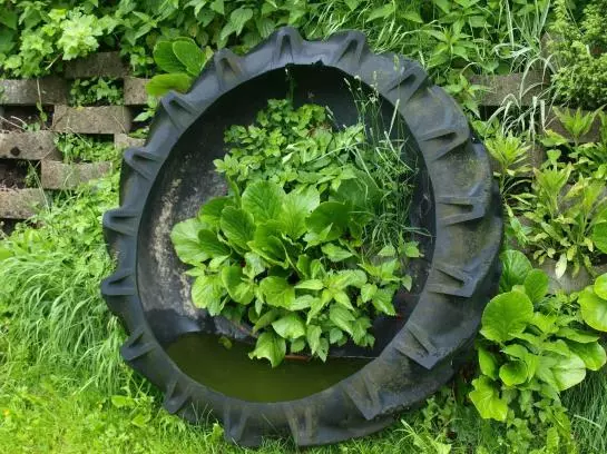 Отель Windhager Kores