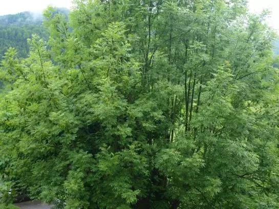 Отель Windhager Kores