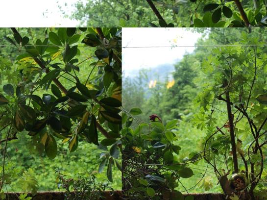 Отель Windhager Kores