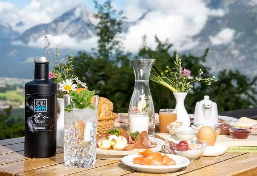 Пансион & Alpengasthof Pinzgerhof