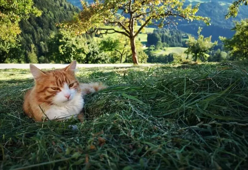 Пансион & Alpengasthof Pinzgerhof