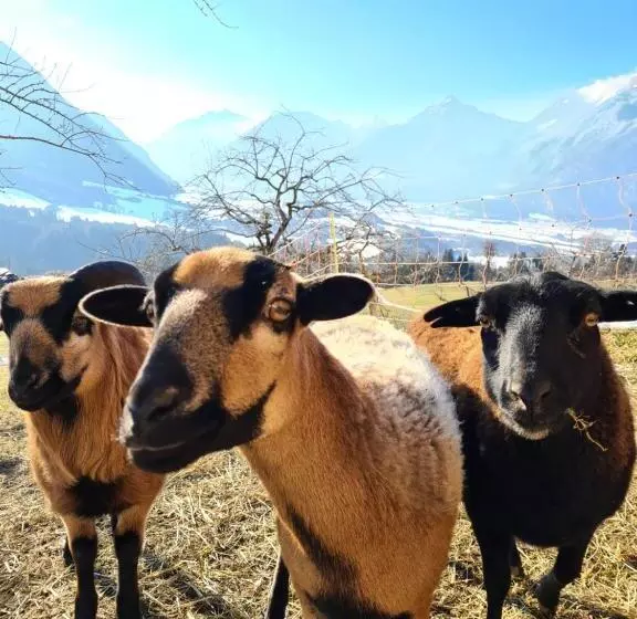 Пансион & Alpengasthof Pinzgerhof
