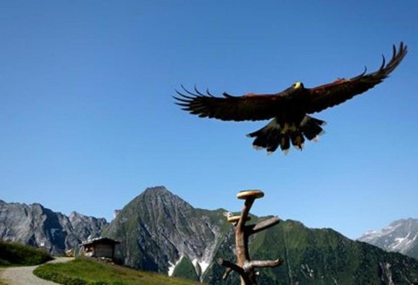 Пансион Gästehaus Huber