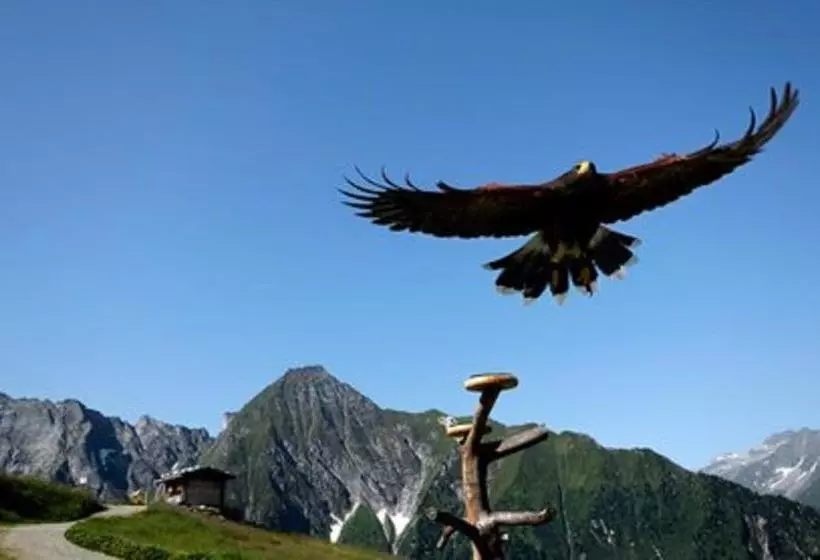 펜션 Gästehaus Huber