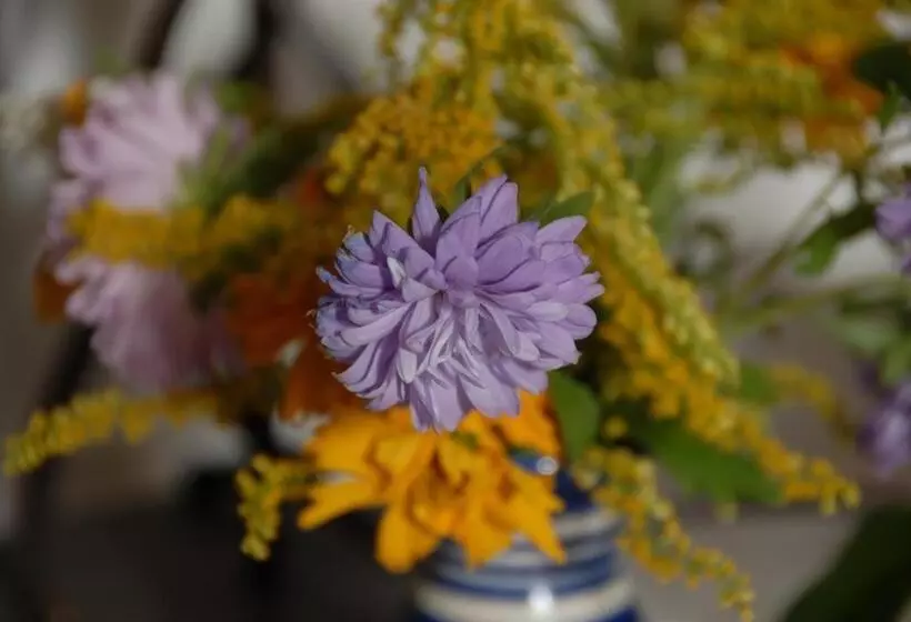 Bed and Breakfast Pension & Appartement Fortin