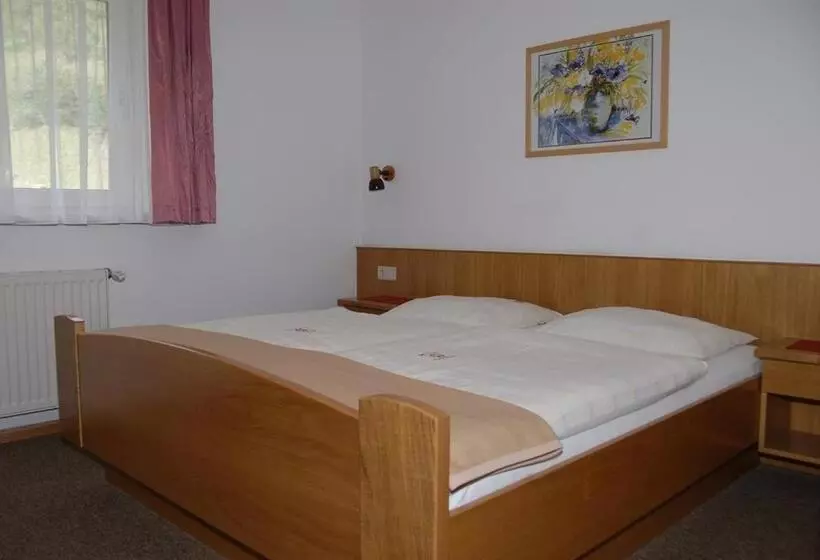Bed and Breakfast Pension & Appartement Fortin