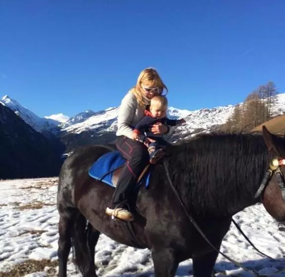 Bed and Breakfast Pension Lagler