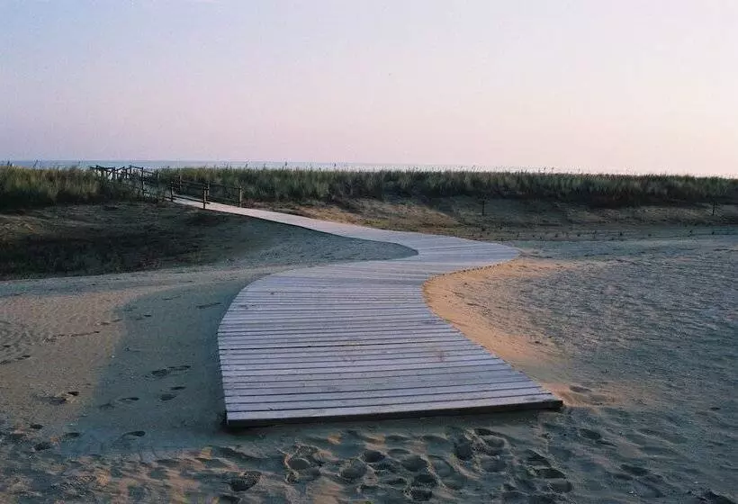 Bellevue Hotel & Resort