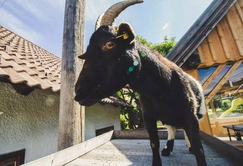 Bio Bauernhof Samerhof