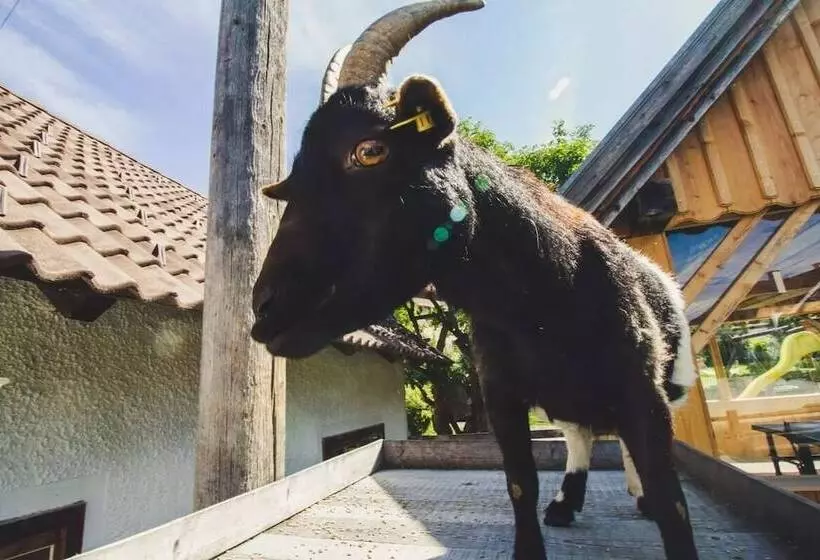 Bio Bauernhof Samerhof