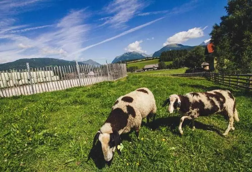 Bio Bauernhof Samerhof