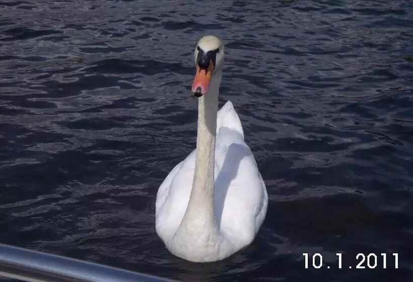 Gesundheitshof Lohninger