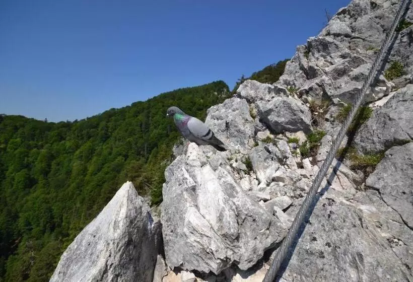 Gesundheitshof Lohninger