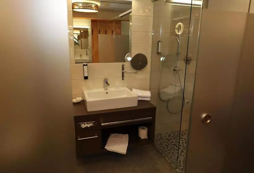 Отель Arzlerhof