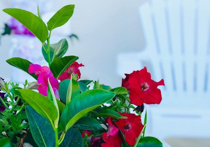 בית מלון כפרי Baglio Di Scopello