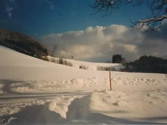 Bauernhof Hussenbauer