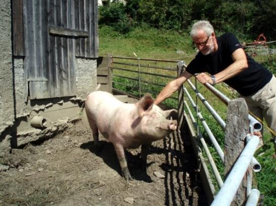 Biobauernhof Moar In Greith