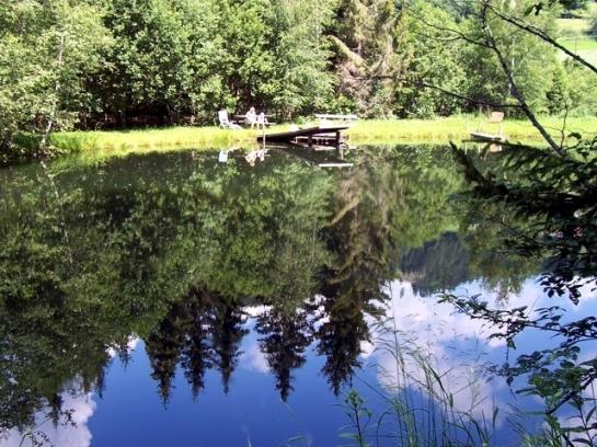 Biobauernhof Moar In Greith