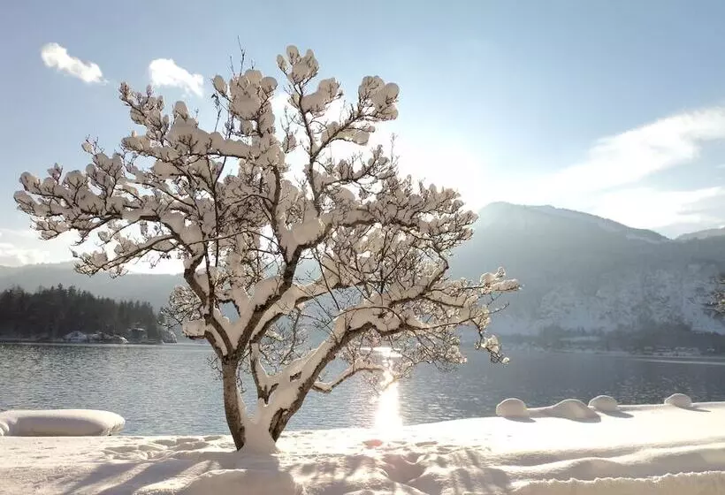 ホテル & Gasthof Fürberg